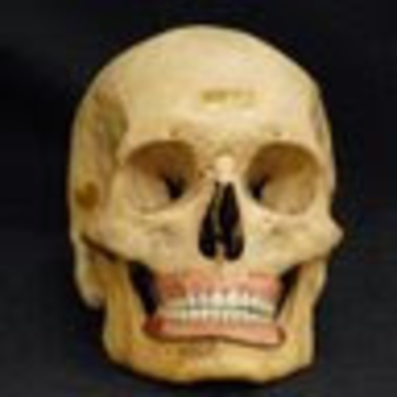 bones1893